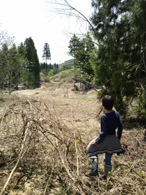 写真：イメージ