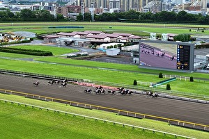写真：東京競馬場