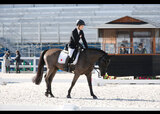 第4回全日本パラ馬術大会　　　　写真／阿部謙一郎