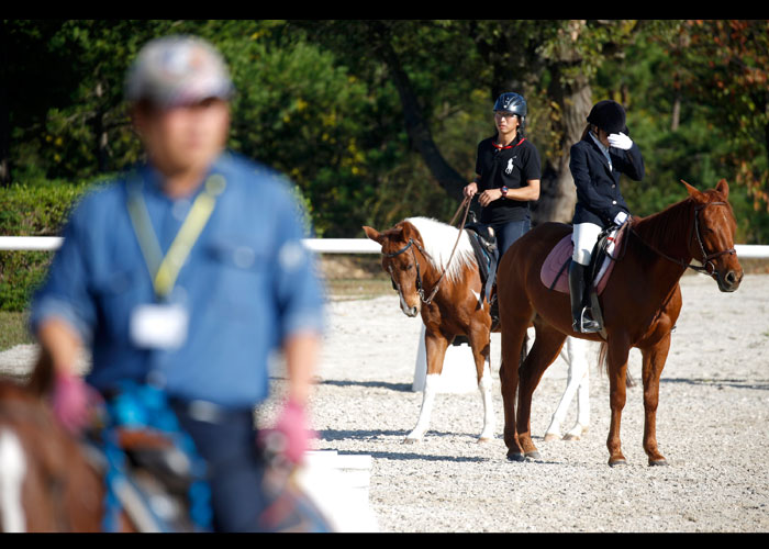 第23回全国障がい者馬術大会　　　　写真／竹見脩吾