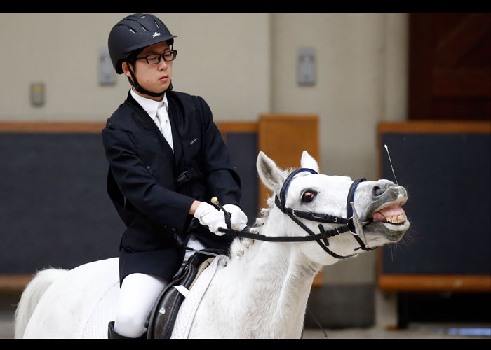 第23回全国障がい者馬術大会　　　　写真／竹見脩吾