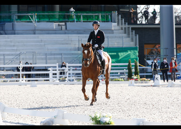 第4回全日本パラ馬術大会　　　　写真／阿部謙一郎